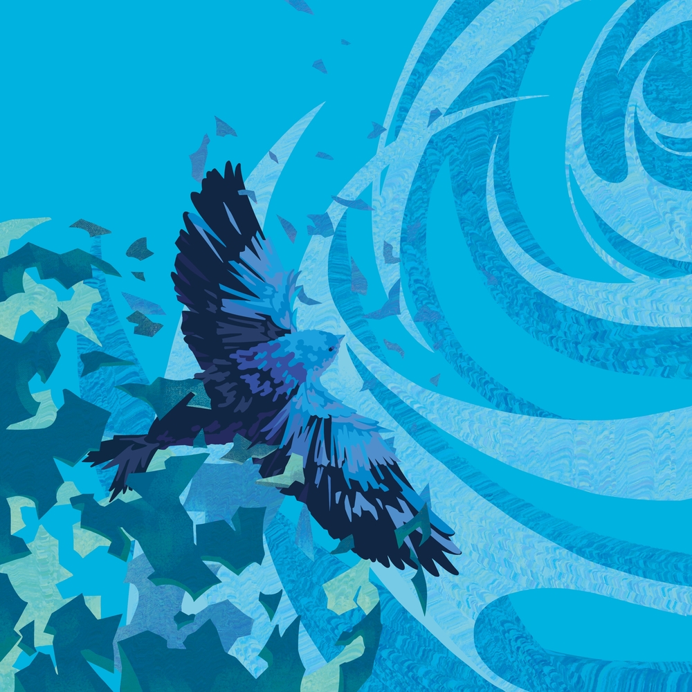 Image Cover